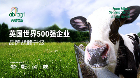 農業(yè)品牌全案策劃